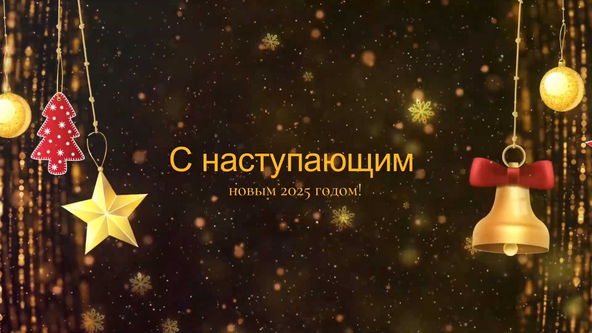 С новым 2025 годом!